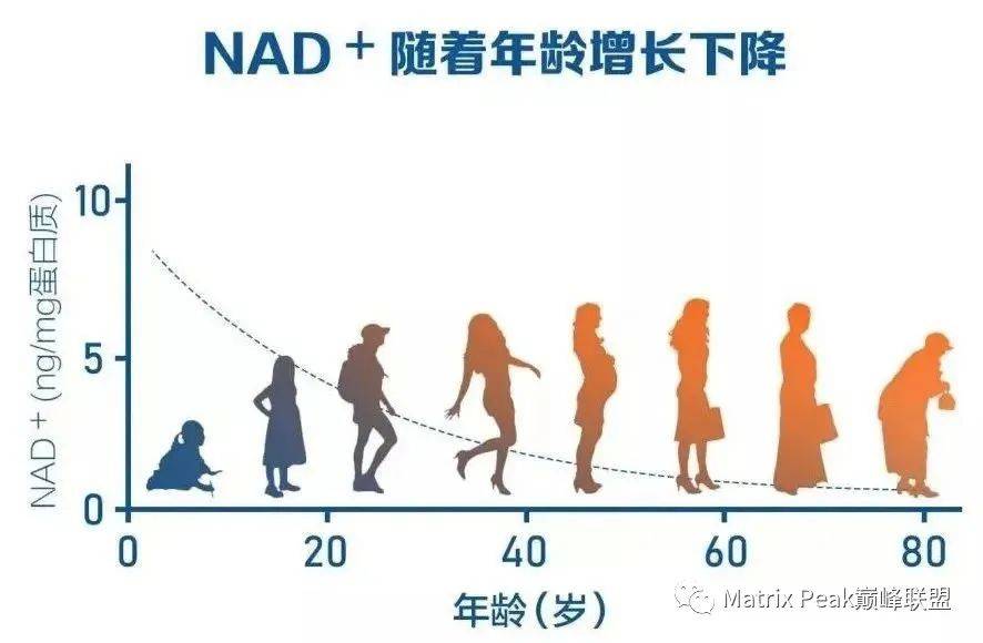 人类研究长生的步伐​—七位诺贝尔奖得主支持 NMN！插图11